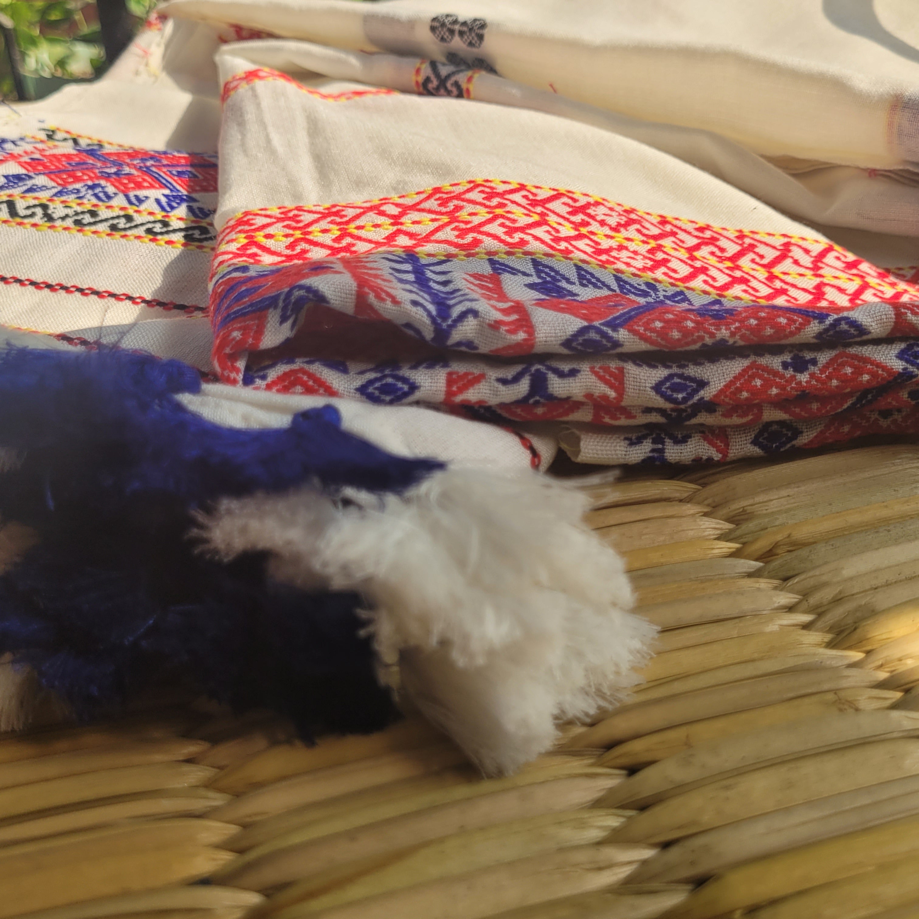 Handloom Cotton Single Sador with Red & Blue Assamese Motifs | Assam Editions